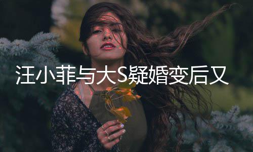 大S疑婚又出南买变后汪小俏江欺诈告其事家怒菲与